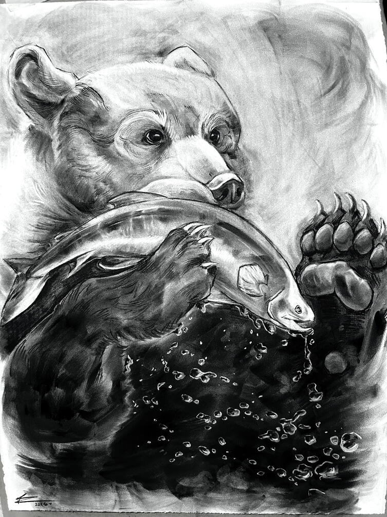 "bear"