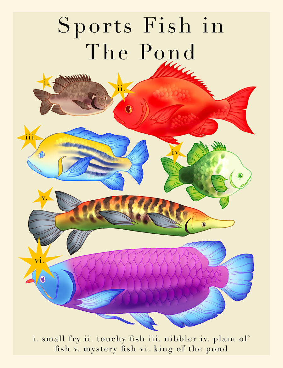 &quot;Sports Fish in The Pond&quot; 2025 - Photoshop