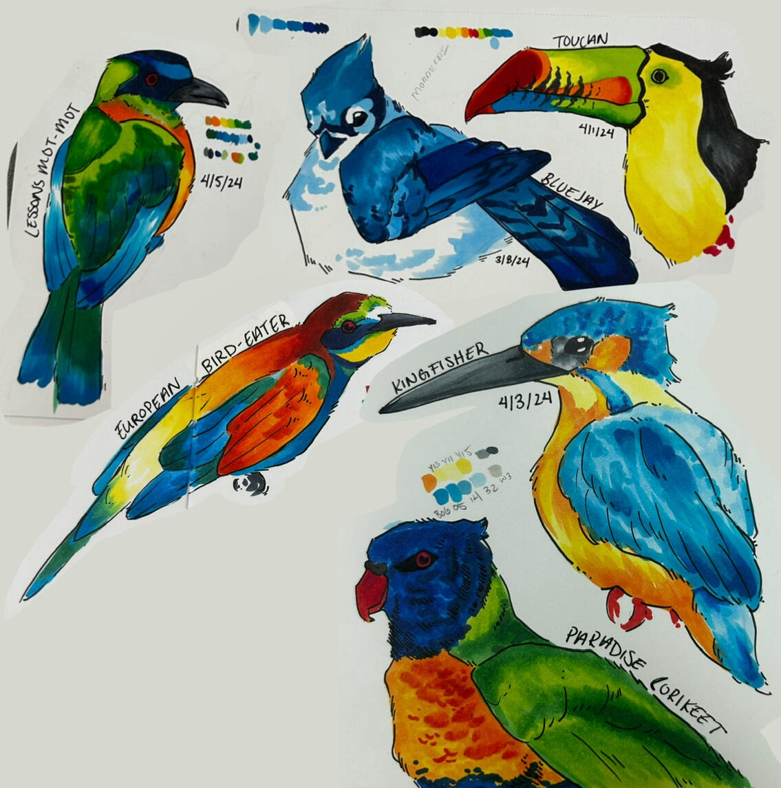 &quot;marker birds&quot; 2024 - Marker on Paper