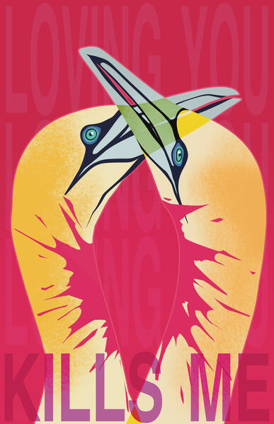 “Gannet Love” : 2025
