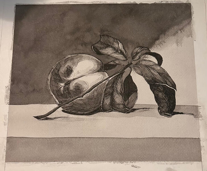 “master copy 07” : 2024